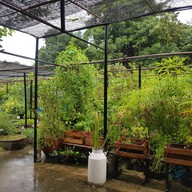 Organic Way City Farm