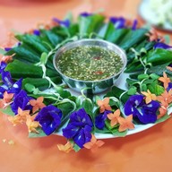 Organic Way City Farm