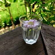 เลอคันนา ฟาร์มสเตย์ เขาค้อ ภูทับเบิก