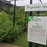 Organic Way City Farm