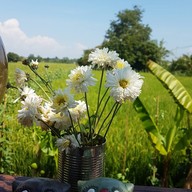 เลอคันนา ฟาร์มสเตย์ เขาค้อ ภูทับเบิก