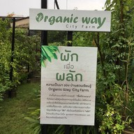 Organic Way City Farm