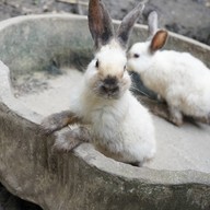 บรรยากาศ สวนหมูป่าปาย