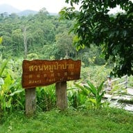 บรรยากาศ สวนหมูป่าปาย