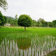 บรรยากาศ บ้านสวนอคิราห์ เกษตรตามรอยพ่อ