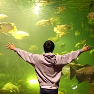 เชียงใหม่ซูอควาเรียม