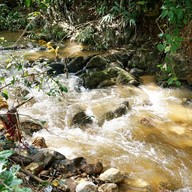 บรรยากาศ Harvest Moon Valley