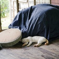 บรรยากาศ Harvest Moon Valley