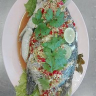 เชลล์ชวนชิม ไก่ย่างป๋าหวิน