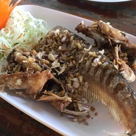 ลุงนพอาหารป่า