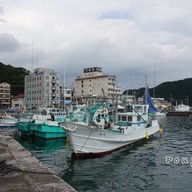 Nigiwai Ichiban Fish Market Kii Katsura
