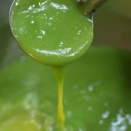 แดงนมสด