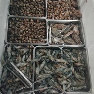 DOOBADOO Cafe สาขา 1