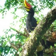 บรรยากาศ ทะเลหมอกสุคิริน