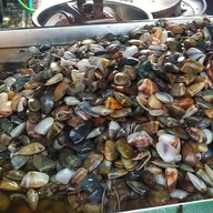 อ้อย&ปิ๋ว (กั้ง หอย ปูดอง เยาวราช)