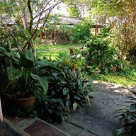 บรรยากาศ สวนอาหารวิว