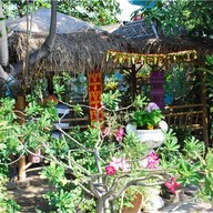 บรรยากาศ ข้าวซอยล้านนา