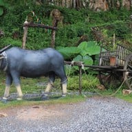 บรรยากาศ ถ้ำน้ำเย็นเขาชัยสน