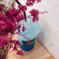 ทองพันใบกาแฟสด