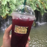 Bike Berry 10 Organic Farm