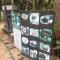 Bike Berry 10 Organic Farm