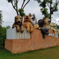 บรรยากาศ Dogin