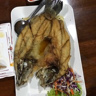 ภูวิวสอยดาวรีสอร์ท