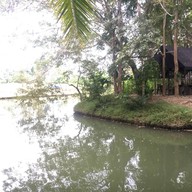 Bike Berry 10 Organic Farm