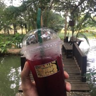 Bike Berry 10 Organic Farm