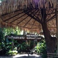 บรรยากาศ ปางช้างแม่แตง