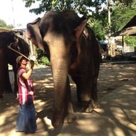 บรรยากาศ ปางช้างแม่แตง