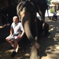 บรรยากาศ ปางช้างแม่แตง