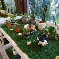 บรรยากาศ Green House Cafe @ไร่กำนันจุล