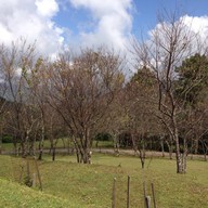 บรรยากาศ ม่อนแกะ