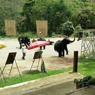 บรรยากาศ ปางช้างแม่แตง