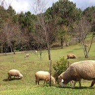 บรรยากาศ ม่อนแกะ