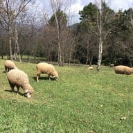 บรรยากาศ ม่อนแกะ