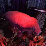 บรรยากาศ เชียงใหม่ซูอควาเรียม