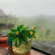 Thai Gallery And Coffee Bar