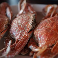เมนูของร้าน ปูเป็น ซีฟู้ด ( Pupen Seafood Pattaya )