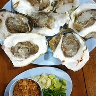 ดาวรุ่งทรายแดง
