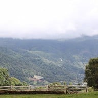 ม่อนแกะ