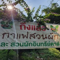 กาแฟสวนผัก