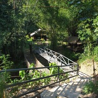 กาแฟสวนผัก