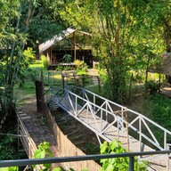 กาแฟสวนผัก