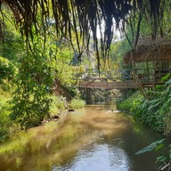 กาแฟสวนผัก