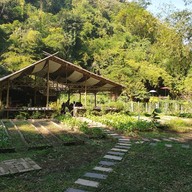 กาแฟสวนผัก