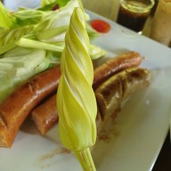 กาแฟสวนผัก