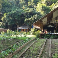 กาแฟสวนผัก