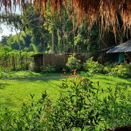 กาแฟสวนผัก